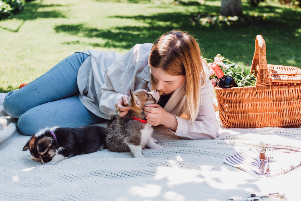 Blond dziewczyna siedzi na kocu w ogrodzie i bawiąc się szczeniakami w słoneczny dzień - Zdjęcie, obraz