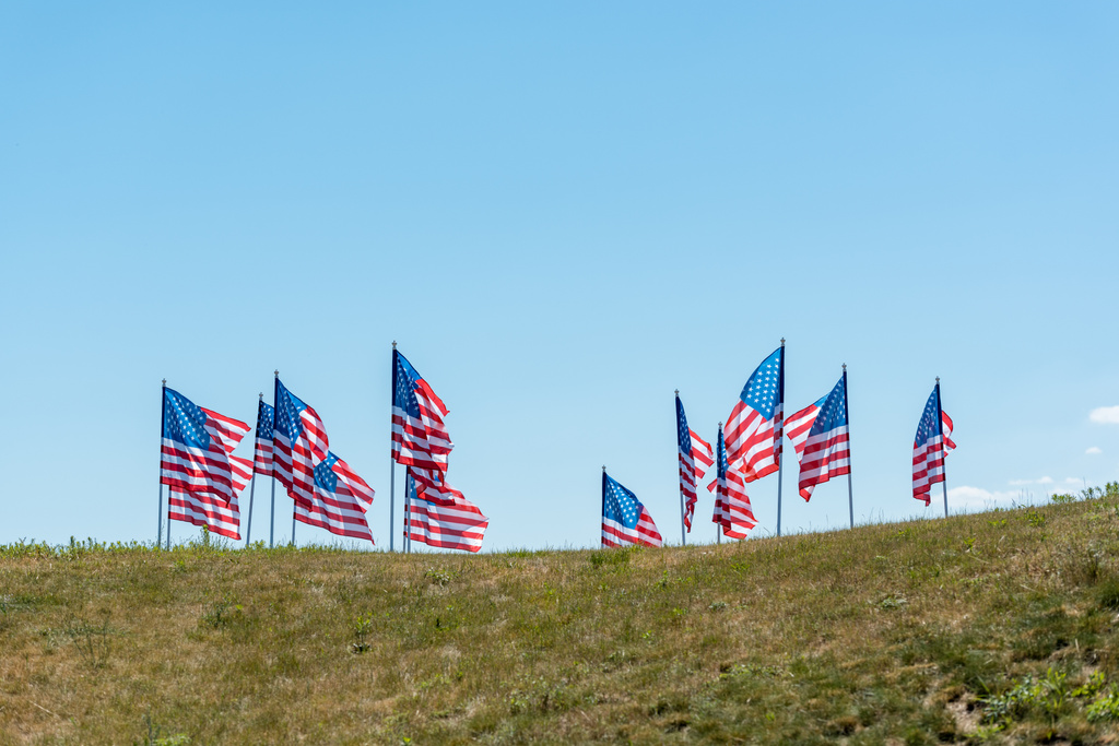 національні прапори Америки на зеленій траві проти блакитного неба з хмарами
  - Фото, зображення