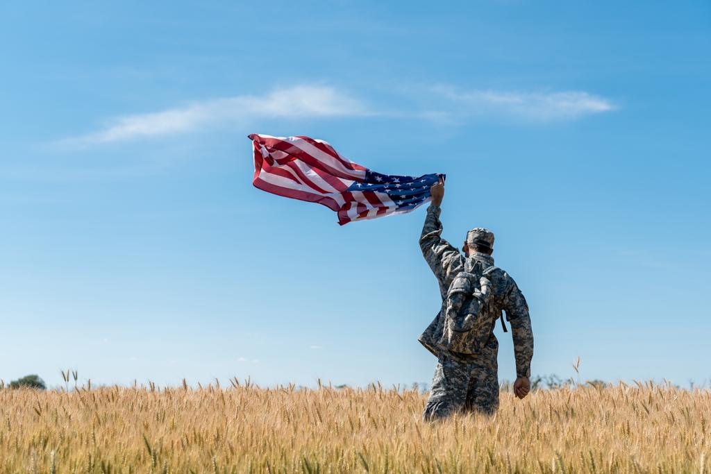 tylny widok żołnierza w mundurze wojskowym stojący w polu ze złotą pszenicą i trzymając amerykańską flagę  - Zdjęcie, obraz