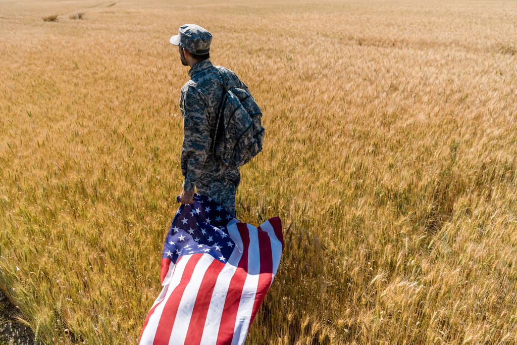 soldier in military uniform holding american flag while standing in field with wheat  - Photo, Image