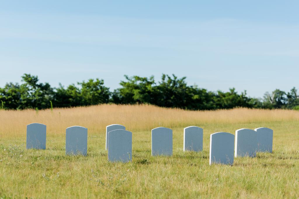 Grabsteine auf grünem Gras und blauem Himmel auf Friedhof  - Foto, Bild