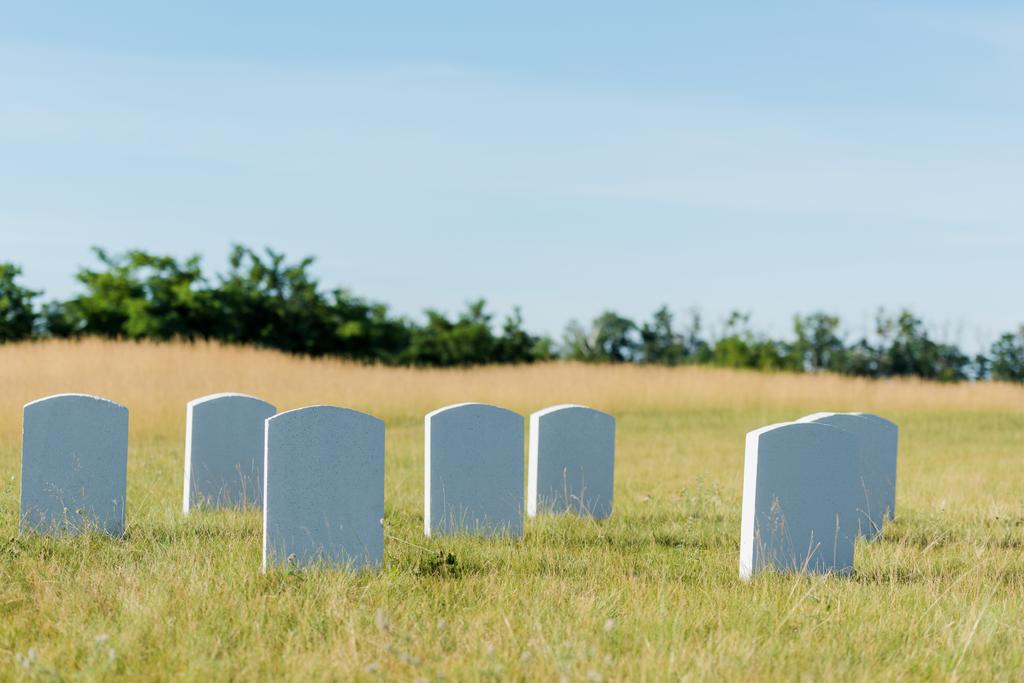 kamienie na zielonej trawie i błękitne niebo na cmentarzu  - Zdjęcie, obraz