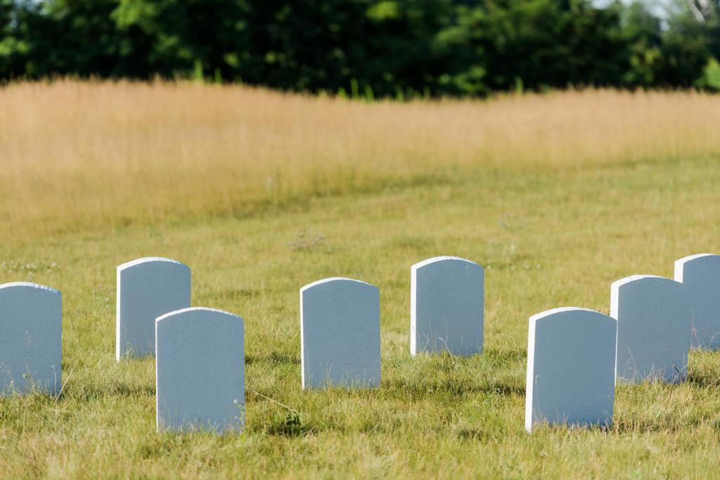blank tombstones on green grass and blue sky in graveyard  - Photo, Image