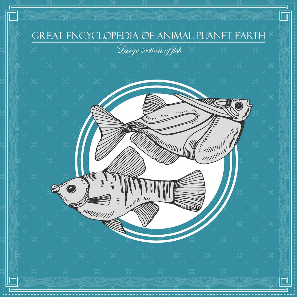 Grande enciclopédia do planeta animal terra, peixes vintage ilustração
 - Vetor, Imagem