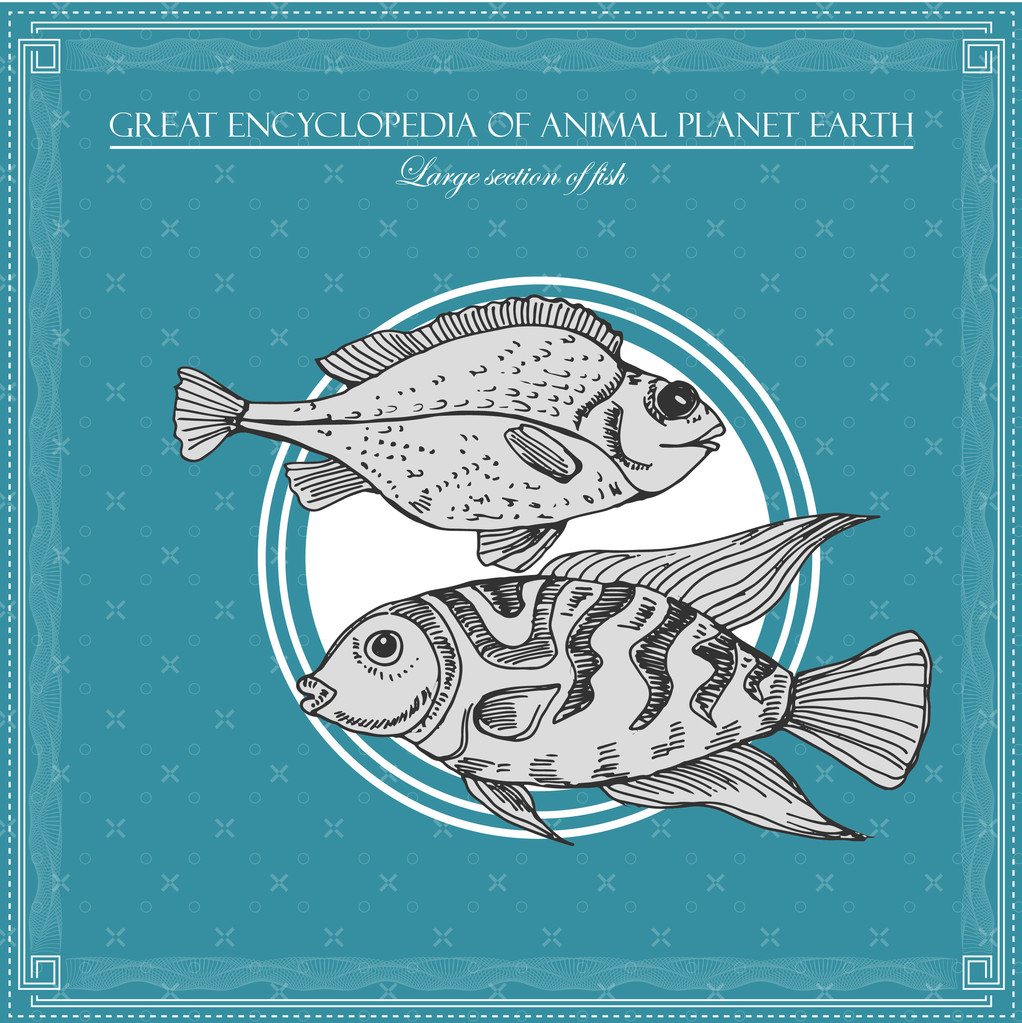 Большая энциклопедия животной планеты Земля, винтажные иллюстрации рыб
 - Вектор,изображение
