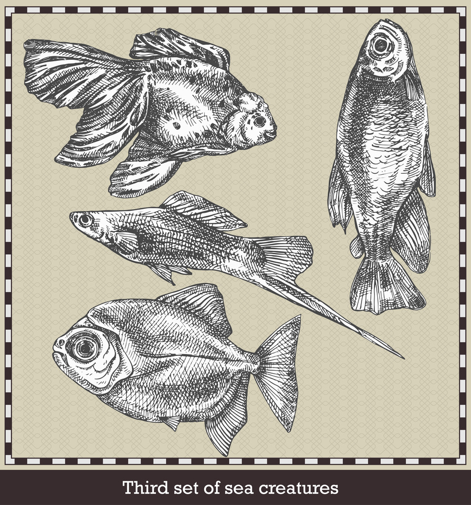 Set of sea fishes. Retro style vector illustration. Isolated on grey background - Vector, Image