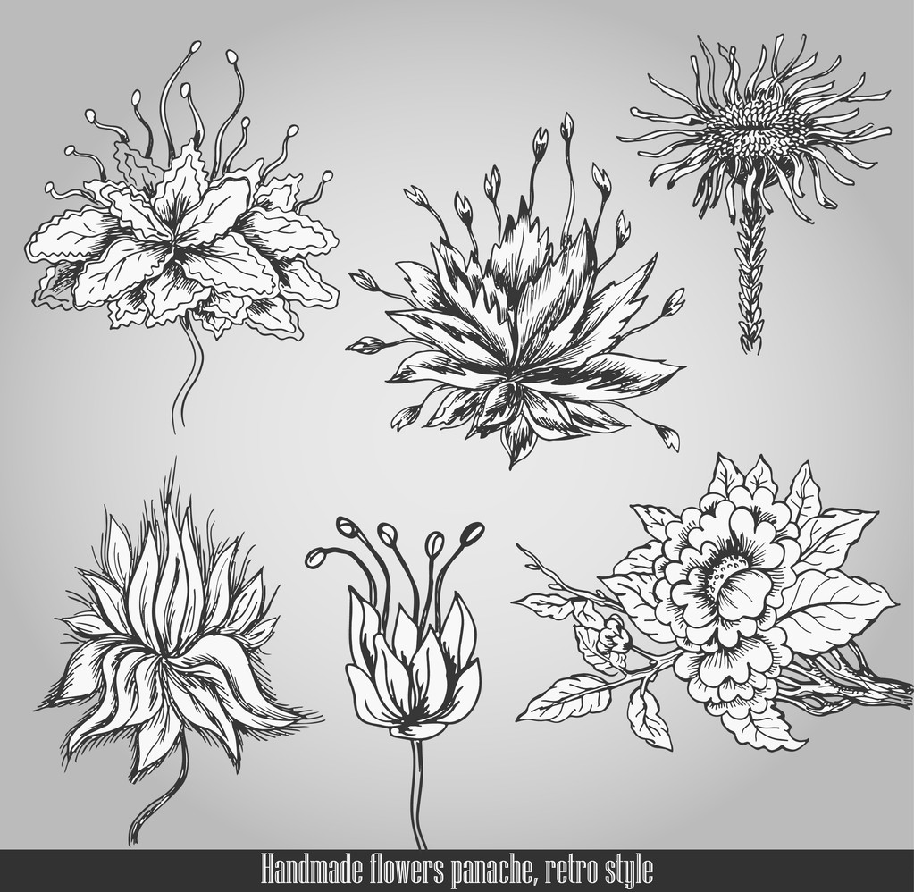 Handgemachte Blumen. Vektor-Illustration im Retro-Stil - Vektor, Bild