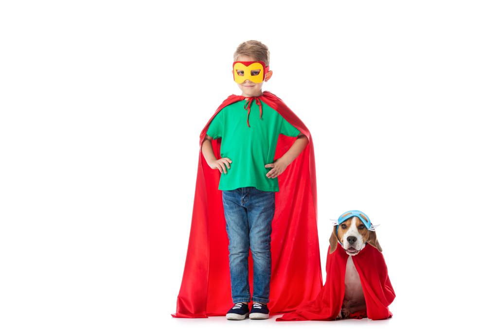 full length view of smiling preschooler child with hands on hips and beagle dog in masks and red hero cloacks isolated on white - Photo, Image