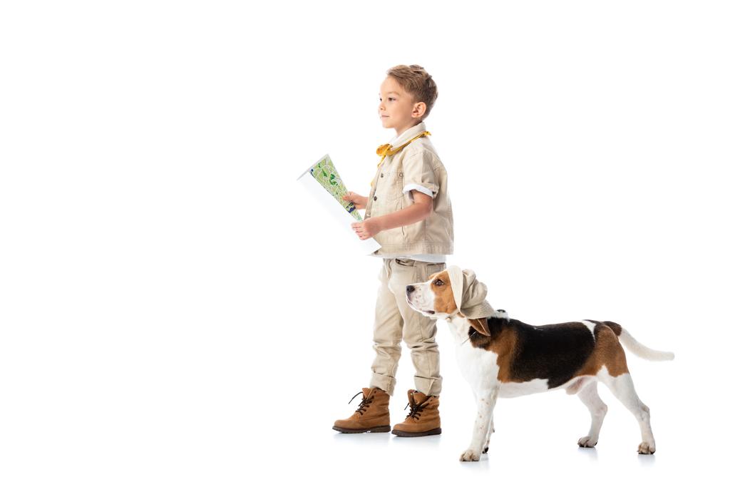 full length view of smiling explorer kid holding map and beagle dog in hat isolated on white - Photo, Image