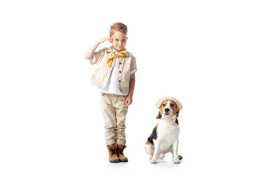 vue pleine longueur de sourire enfant explorateur saluant à la caméra et beagle chien en chapeau isolé sur blanc
 - Photo, image