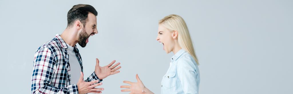 панорамний знімок чоловіка і жінки, що кричить і жестикулює ізольовано на сірому
 - Фото, зображення