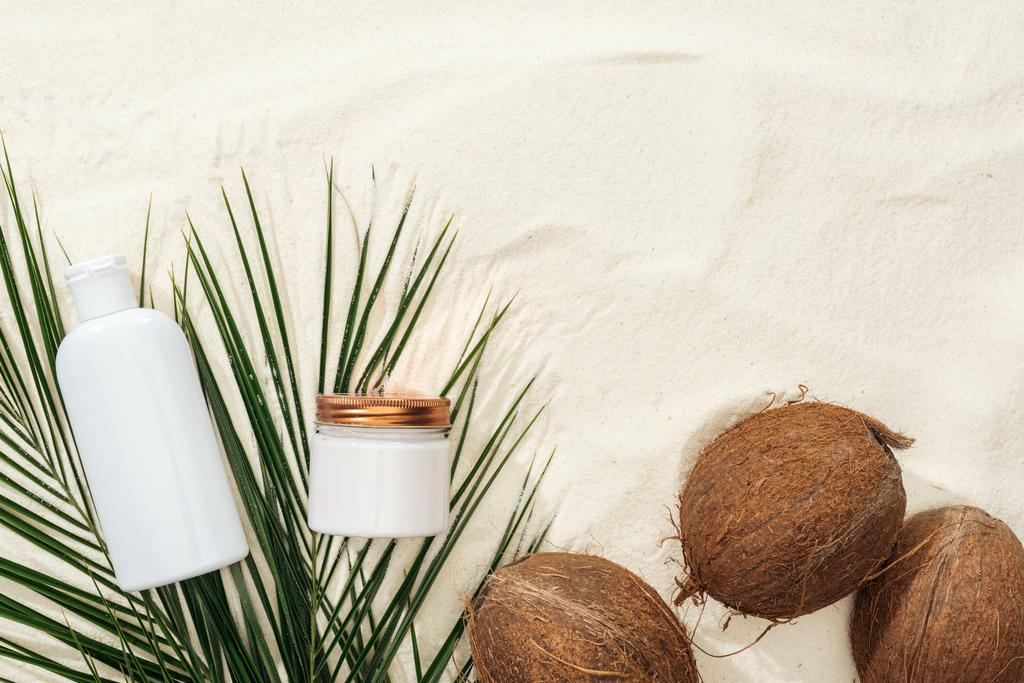 vista dall'alto di foglie di palma, noci di cocco e cosmetici sulla sabbia
  - Foto, immagini