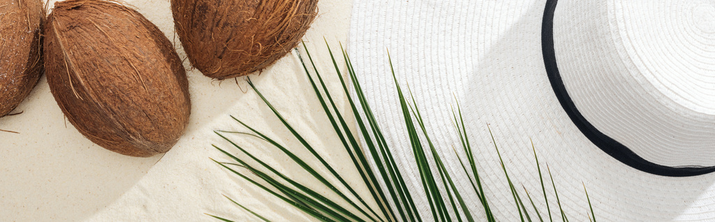 top view of palm leaf, coconuts and white straw hat on sand, panoramic shot - Photo, Image