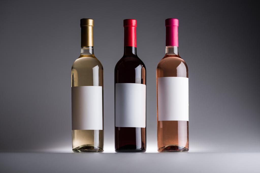 bottles of white, red and rose wine with blank labels on grey background - Photo, Image