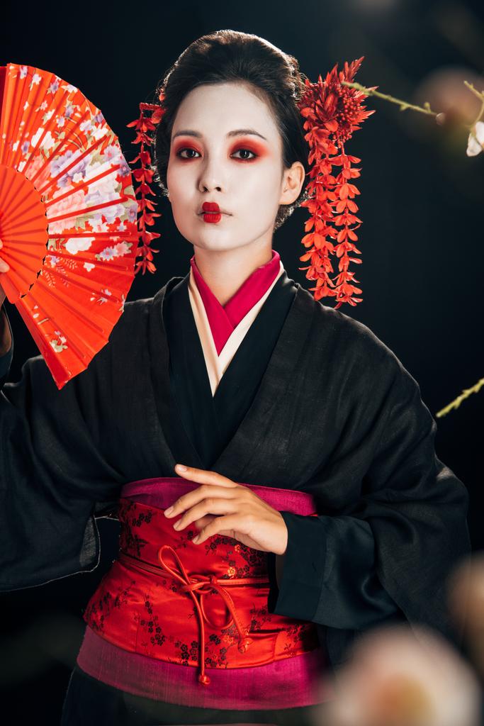 селективный фокус красивой гейши в черном кимоно с красными цветами в волосах, держащих веер руки и ветви сакуры, изолированные на черном
 - Фото, изображение