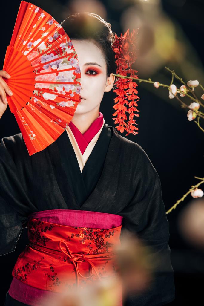 siyah kimono güzel geyşa seçici odak siyah izole yüz ve sakura dalları önünde el fan tutarak saç kırmızı çiçekler ile - Fotoğraf, Görsel