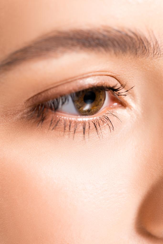 vue rapprochée de la femme avec un œil brun clair et une peau parfaite
 - Photo, image