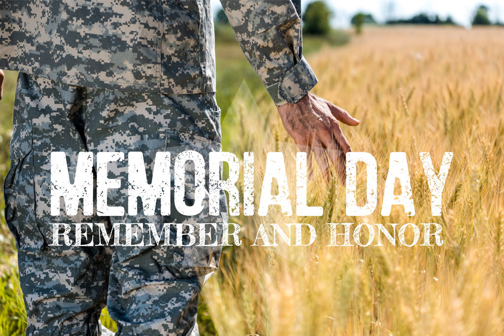 επιλεκτική εστίαση του στρατιώτη που αγγίζει το σιτάρι στο χρυσό χωράφι με την ημέρα μνήμης, να θυμάστε και να τιμάτε την εικόνα - Φωτογραφία, εικόνα