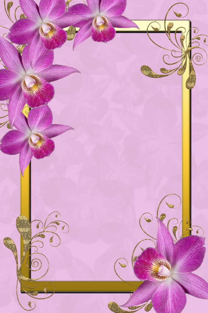 Orkide çerçeve - Fotoğraf, Görsel