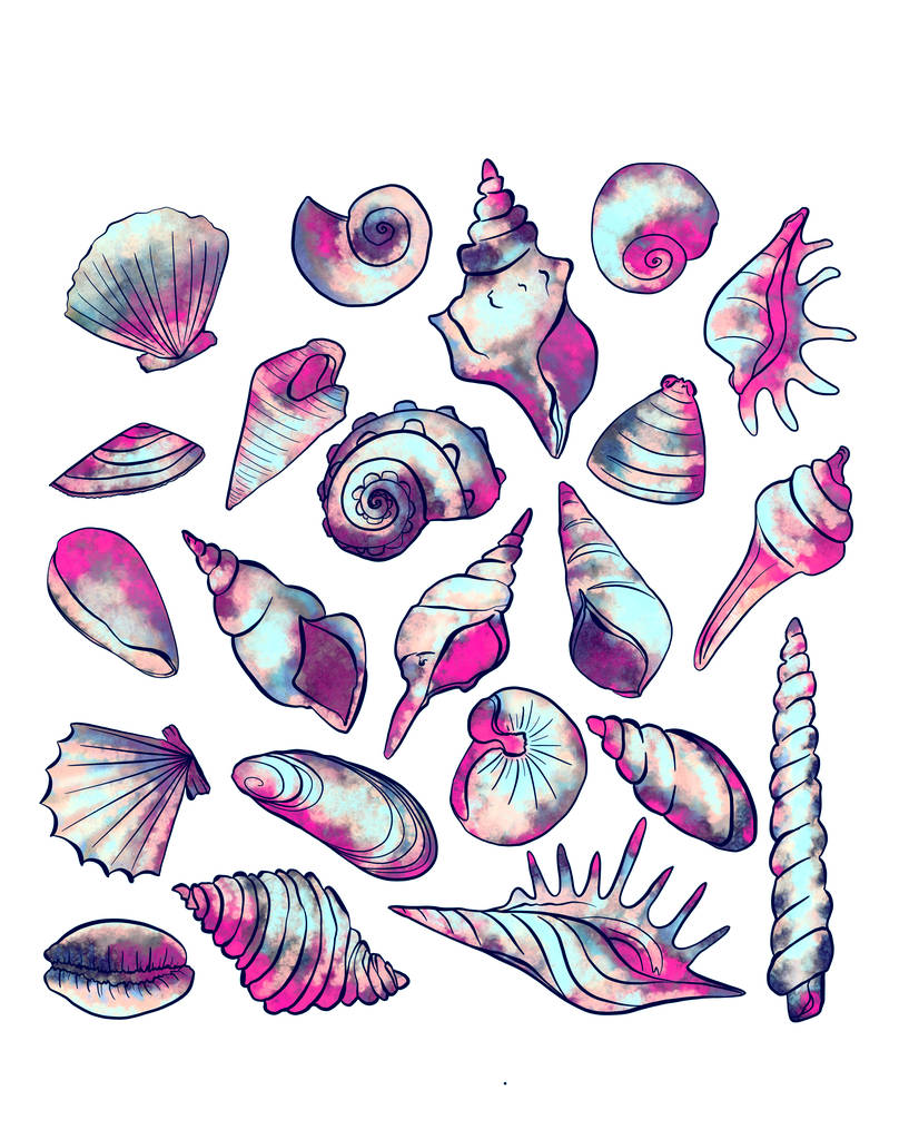 muszle o różnych kształtach na białym tle, dekoracja Seashell zestaw na białym tle. Małże naturalne morze odizolowane grafiki. Akwarium ozdoba ilustracja ręcznie rysowane morskie muszle sztuka - Zdjęcie, obraz