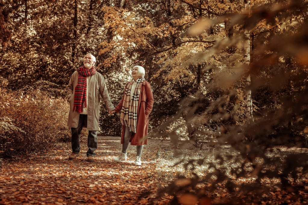 Heureux couple de personnes âgées se promener dans un parc
. - Photo, image