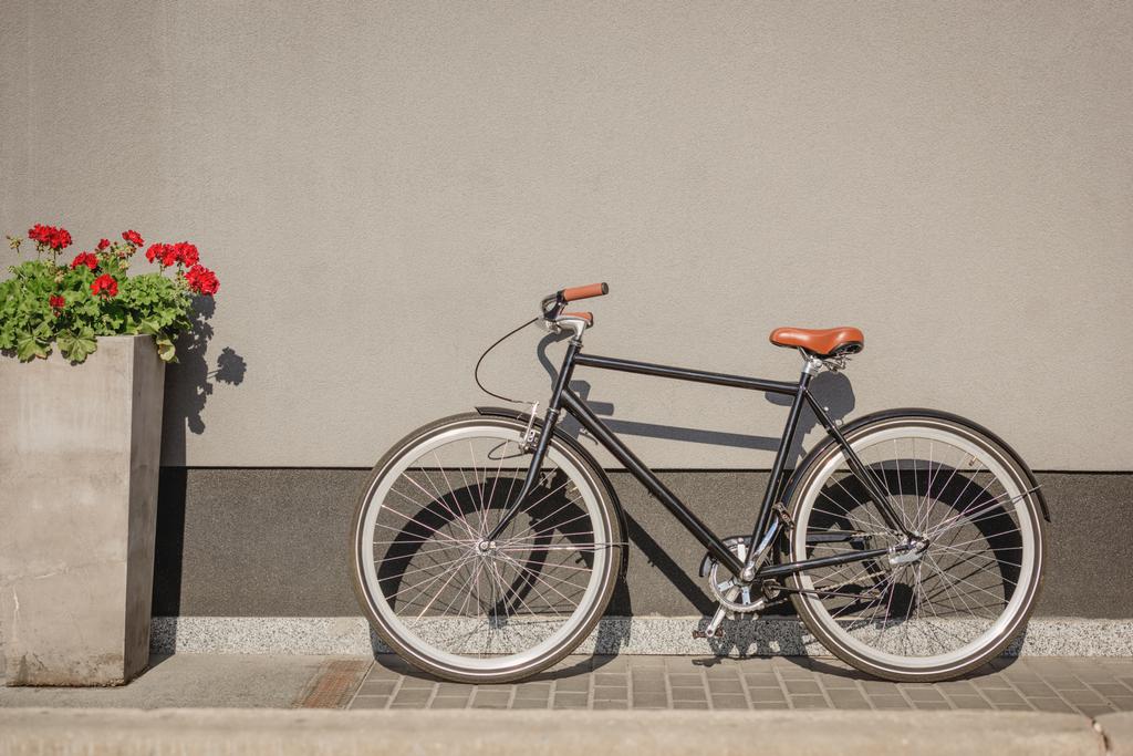 vélo et fleur rouge en pot de fleurs près du mur gris sur la rue
 - Photo, image