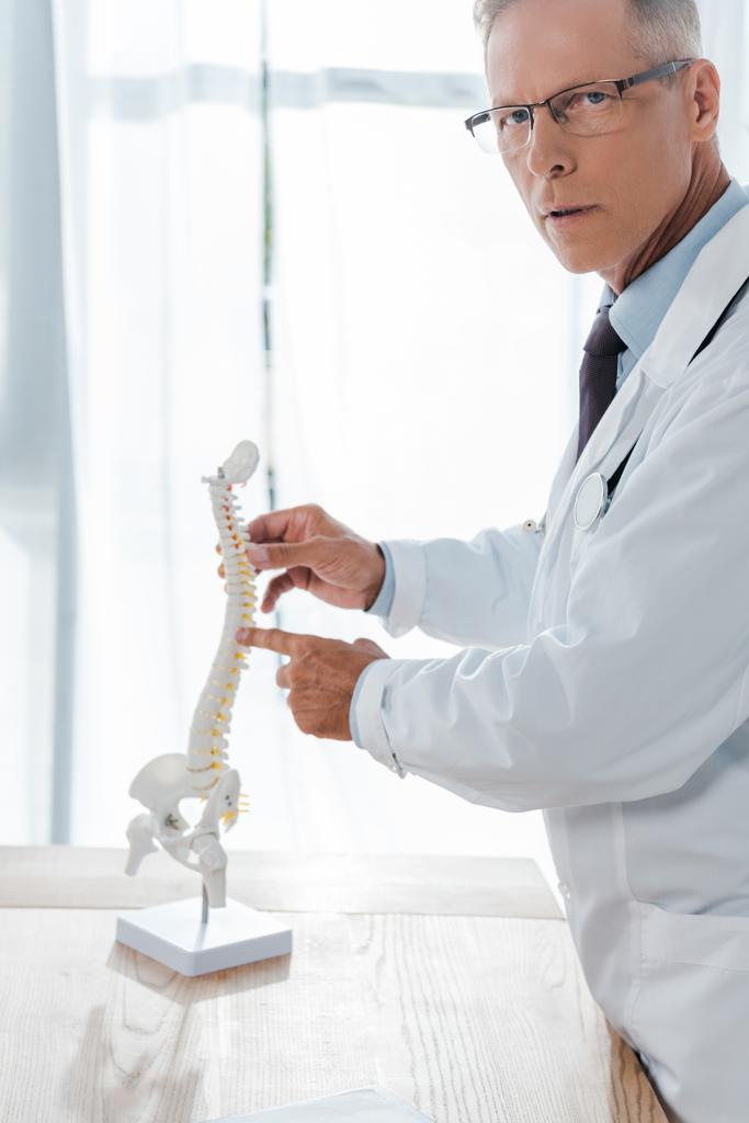 γιατρός σε γυαλιά που δείχνουν με το δάχτυλο στο μοντέλο της σπονδυλικής στήλης στην κλινική  - Φωτογραφία, εικόνα