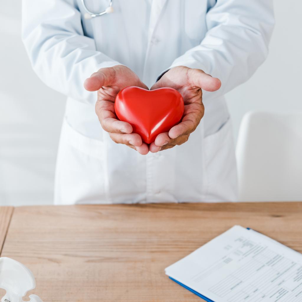 oříznutý pohled na lékaře s červeným srdcem model u stolu  - Fotografie, Obrázek