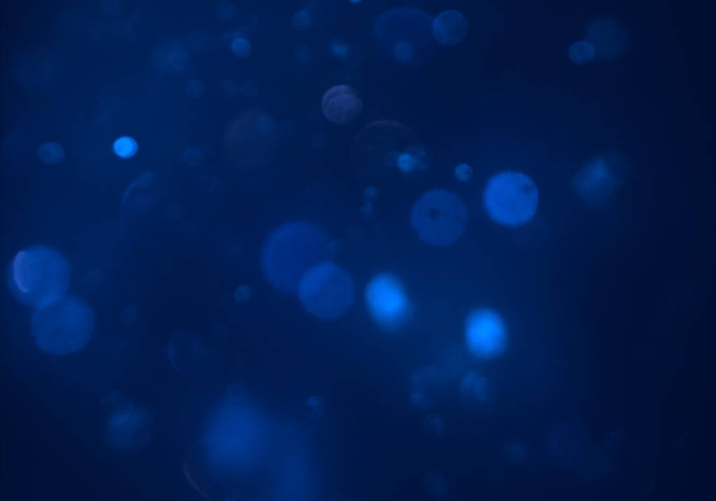galaxy with bokeh abstact background - Photo, Image