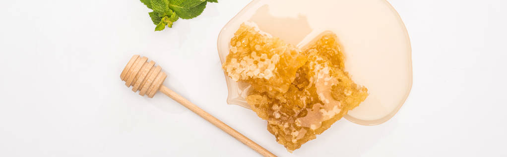 panoramic shot of honey, mint, honeycomb and wooden honey dipper on white background - Photo, Image