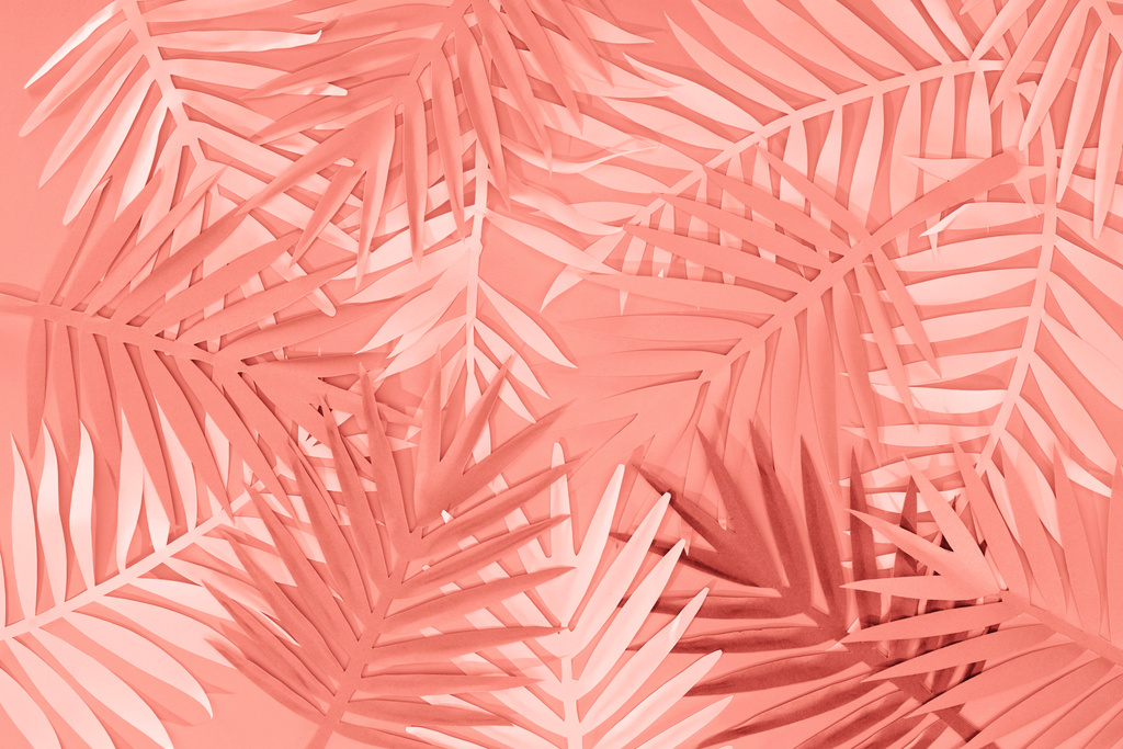 Κορυφαία όψη του κοραλλιογενούς τροπικού χαρτιού κομμένα φύλλα παλάμης, μινιμαλιστικό φόντο - Φωτογραφία, εικόνα