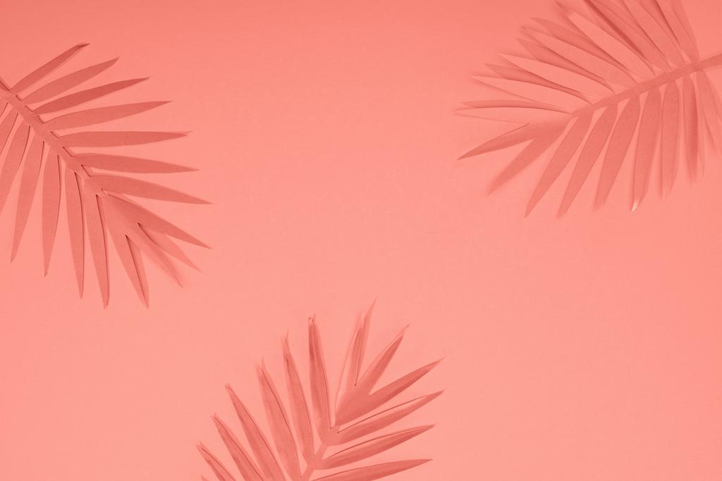 top view of coral tropical paper cut palm leaves, minimalistic background with copy space - Photo, Image