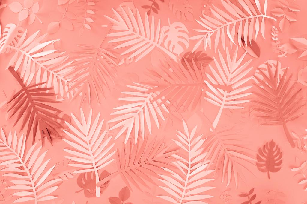pohled na korálový tropický papír Vystřihněte palmové listy, minimalistické pozadí - Fotografie, Obrázek