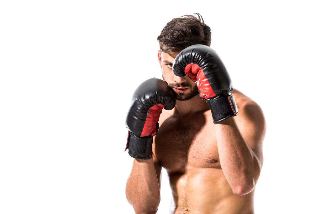 мускулистый боксер в боксёрских перчатках, изолированных на белом
 - Фото, изображение