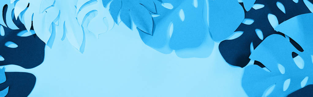 colpo panoramico di foglie tropicali taglio carta su sfondo minimalista blu con spazio copia
 - Foto, immagini