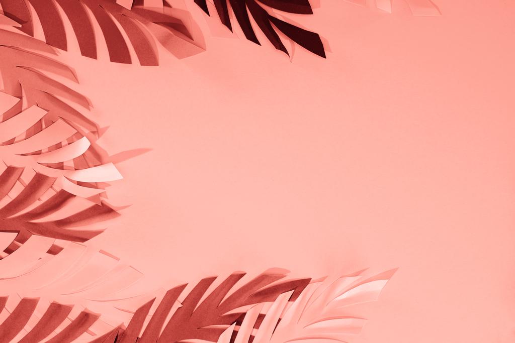 рамка з коралового тропічного паперу вирізане пальмове листя, мінімалістичний фон з копіювальним простором
 - Фото, зображення