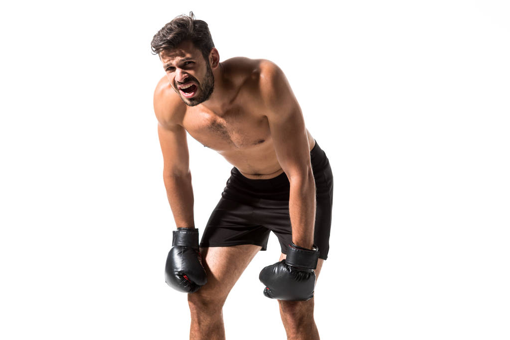shirtless Boxer in boxing gloves Isolated On White with copy space - Photo, Image
