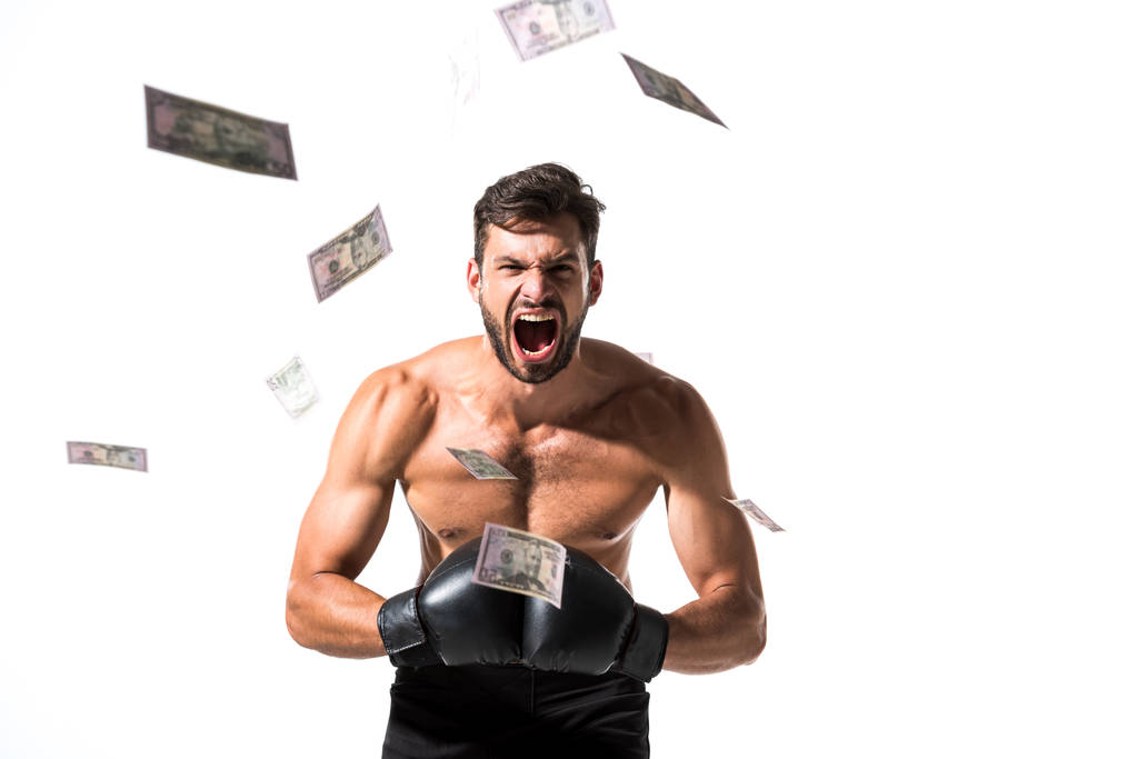 shirtless Boxer schreeuwen geïsoleerd op wit met dalende dollar bankbiljetten - Foto, afbeelding