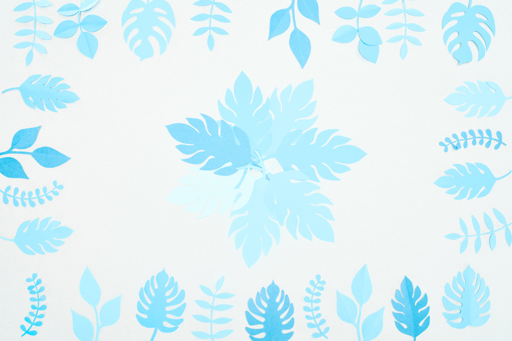 vista superior de hojas tropicales cortadas de papel azul aisladas en blanco
 - Foto, Imagen