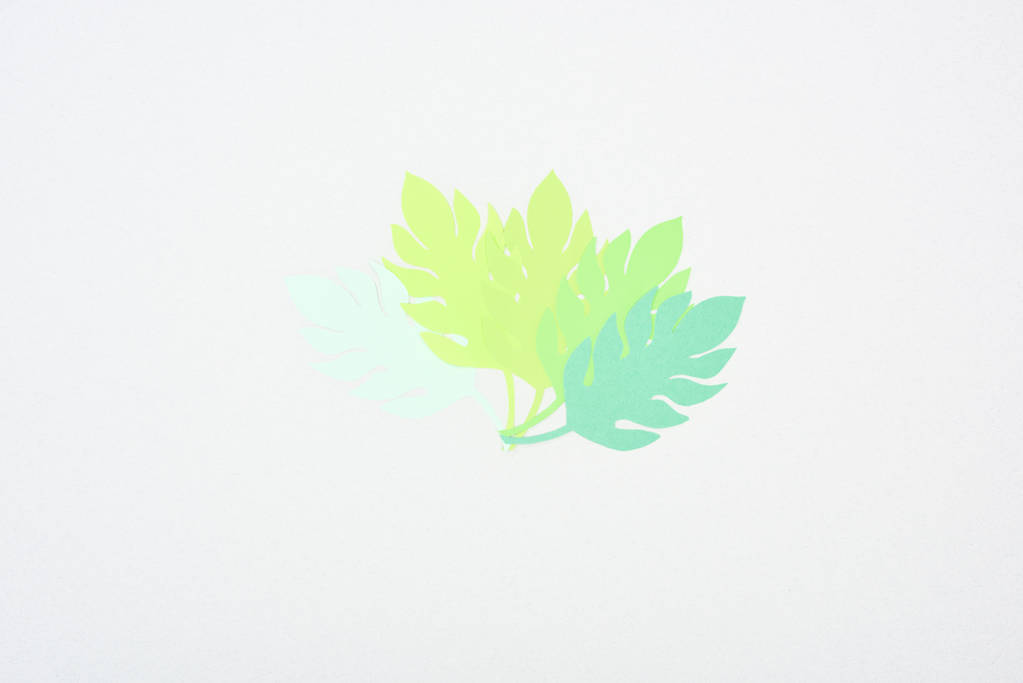 górny widok zielonego papieru wyciąć tropikalne liście izolowane na białym z kopią przestrzeni - Zdjęcie, obraz