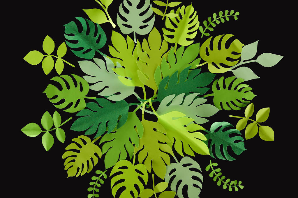 Kağıt kesme yeşil yaprakları siyah, arka plan desen izole üst görünümü - Fotoğraf, Görsel