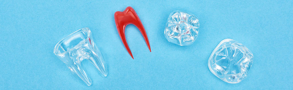 plano panorámico del modelo de dientes de silicona cerca de la raíz dental roja y empastes de dientes aislados en azul
  - Foto, imagen