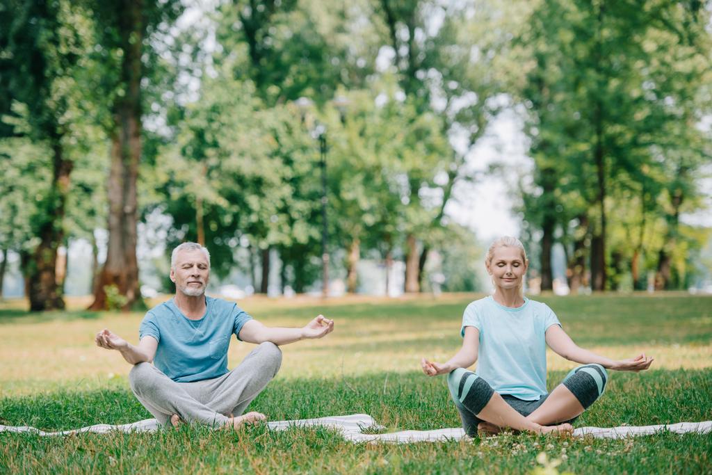 mature man and woman meditating with closed eyes while sitting in lotus poses on lawn in park - Photo, Image