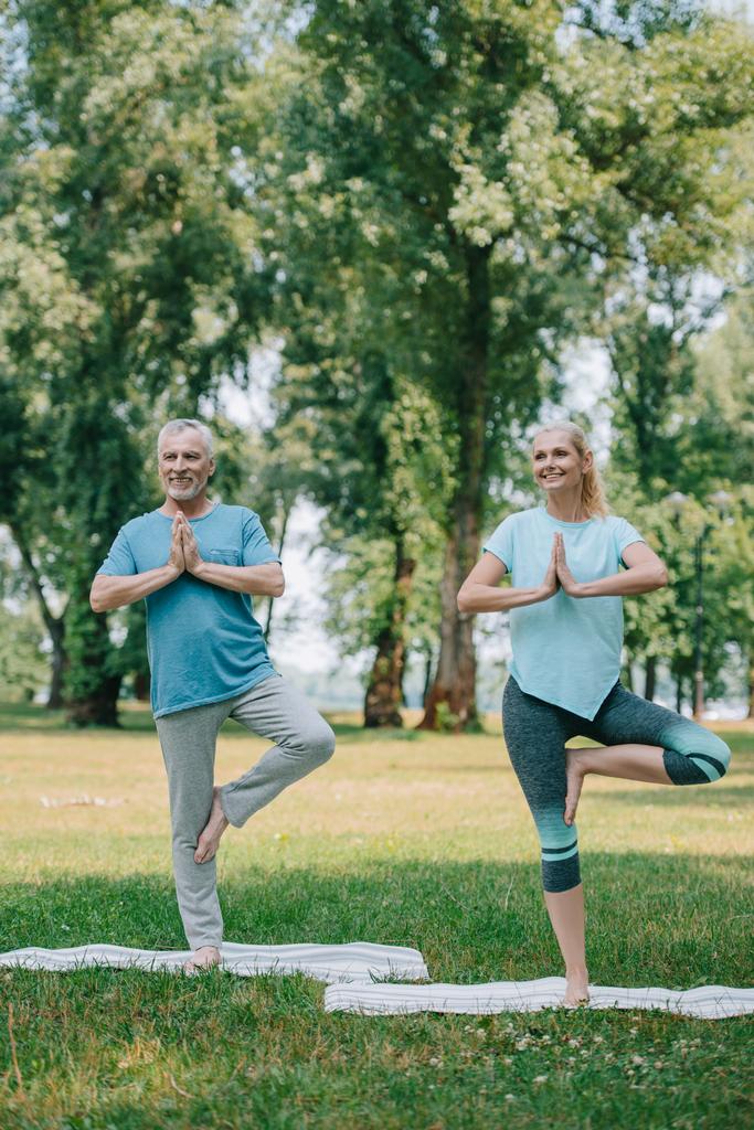 mature man and woman meditating in tree poses while standing in yoga mats in park - Photo, Image