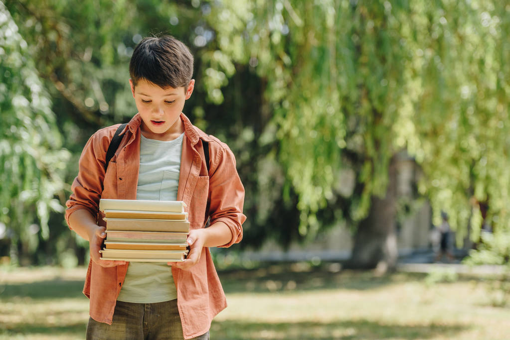 söpö, yllättynyt koulupoika tilalla kirjoja seistessään aurinkoisessa puistossa
 - Valokuva, kuva