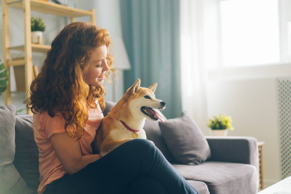 bella rossa donna abbracciare cagnolino seduta su divano in appartamento sorridente
 - Foto, immagini