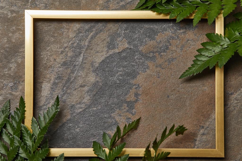 moldura dourada vazia no fundo de pedra com espaço de cópia e folhas de samambaia
 - Foto, Imagem