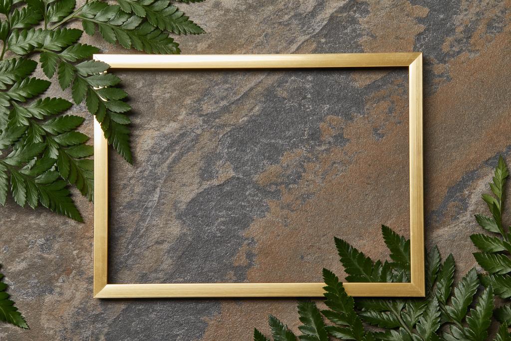 vista dall'alto di cornice dorata vuota su sfondo di pietra con spazio copia e foglie di felce
 - Foto, immagini