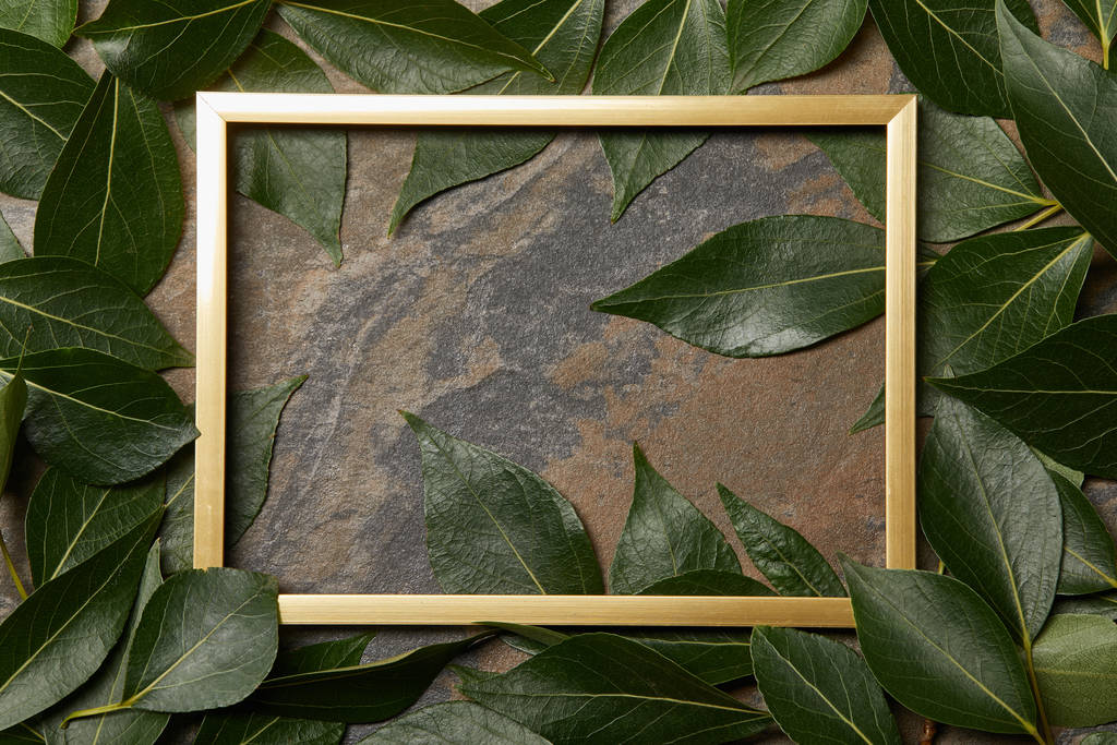 vista superior da moldura dourada no fundo de pedra com espaço de cópia e folhas verdes
 - Foto, Imagem