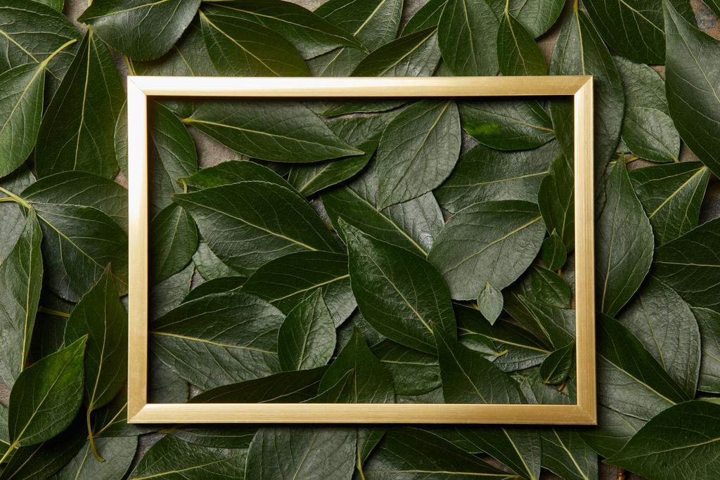 Ansicht des goldenen Rahmens auf grünem Blätterhintergrund mit Kopierraum - Foto, Bild